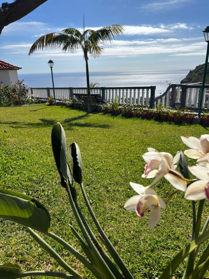 Tropical Garden Villa Arco da Calheta  Exterior photo
