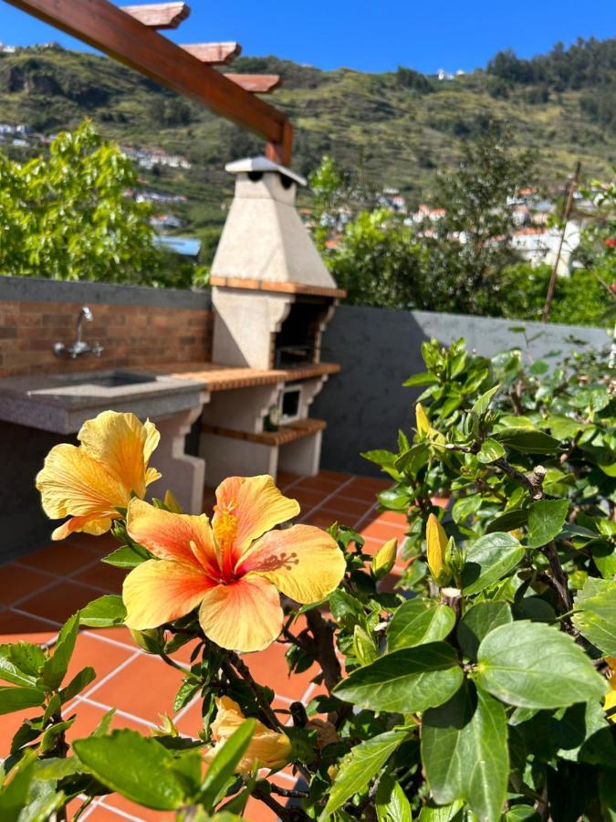 Tropical Garden Villa Arco da Calheta  Exterior photo
